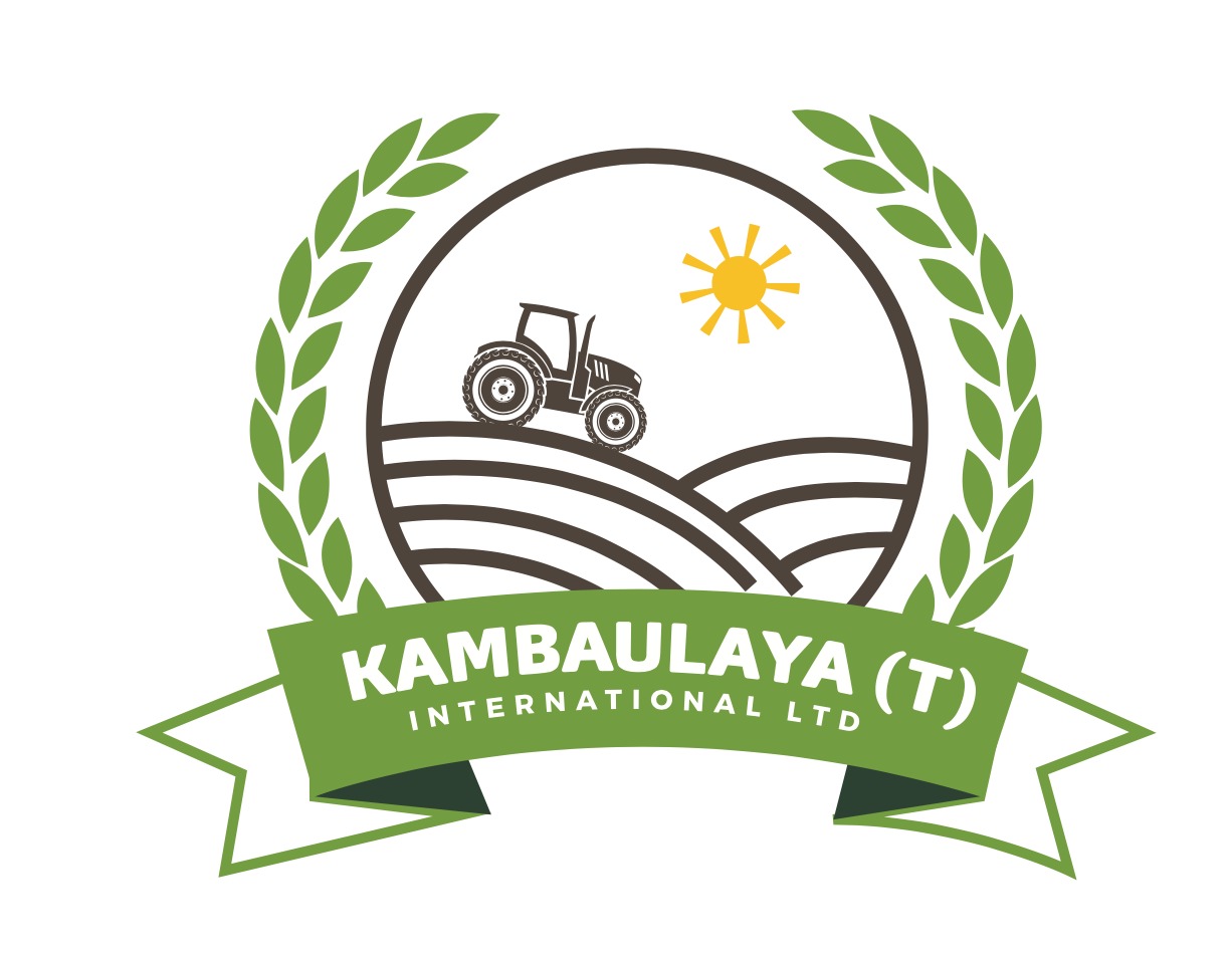 Kambaulaya T International Ltd