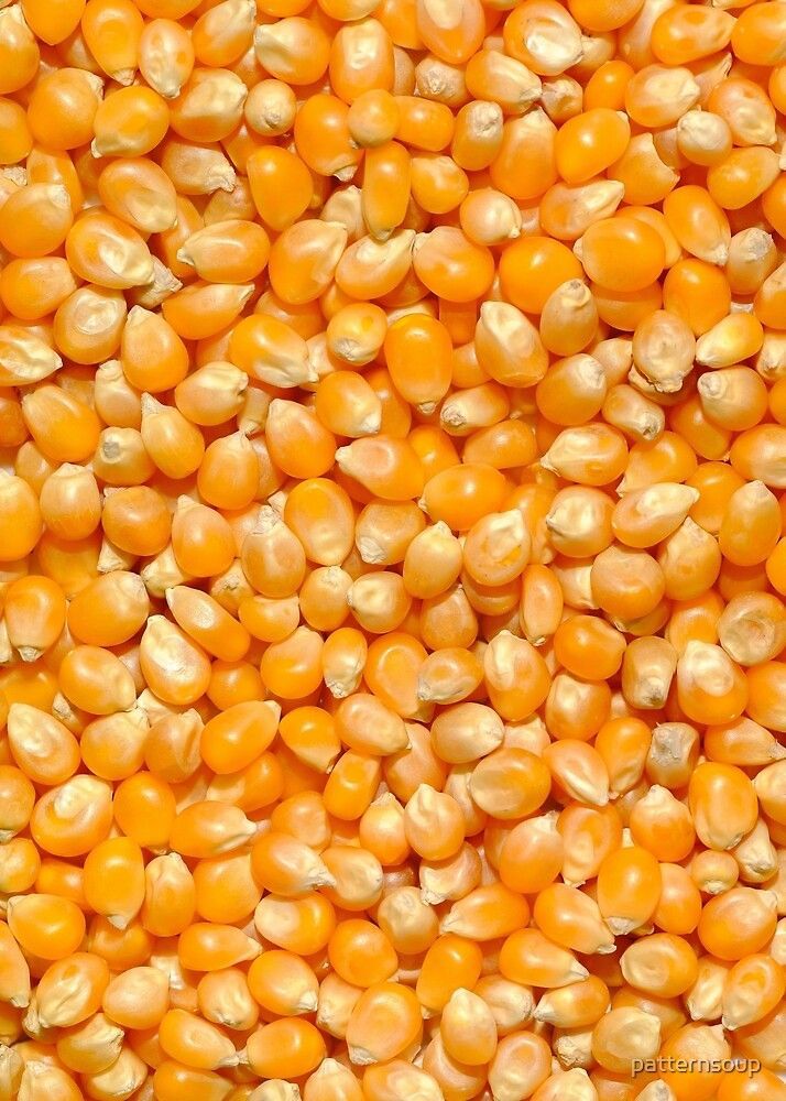 Maize