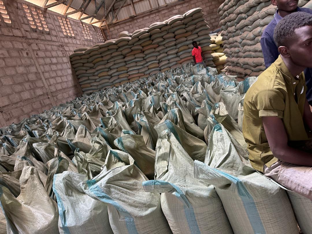 Efficient Logistics Management for Agricultural Products